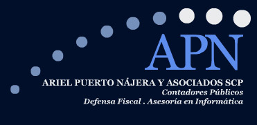 Ariel Puerto Nájera y Asociados SCP