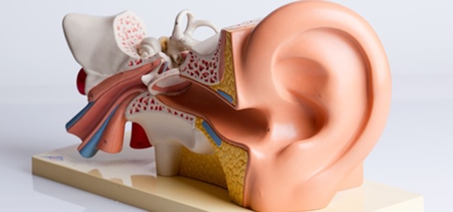 Dr. Luís Enrique Repetto Ortega