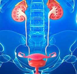 Dr. Miguel Angel Erguera Rivera