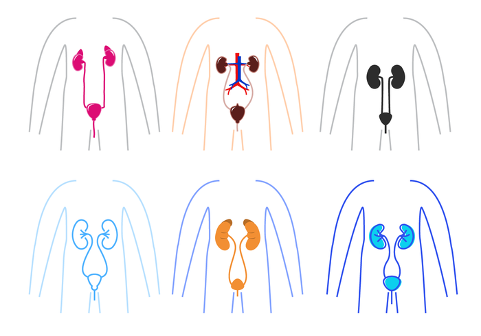 Dr. Francisco Blanco Palma