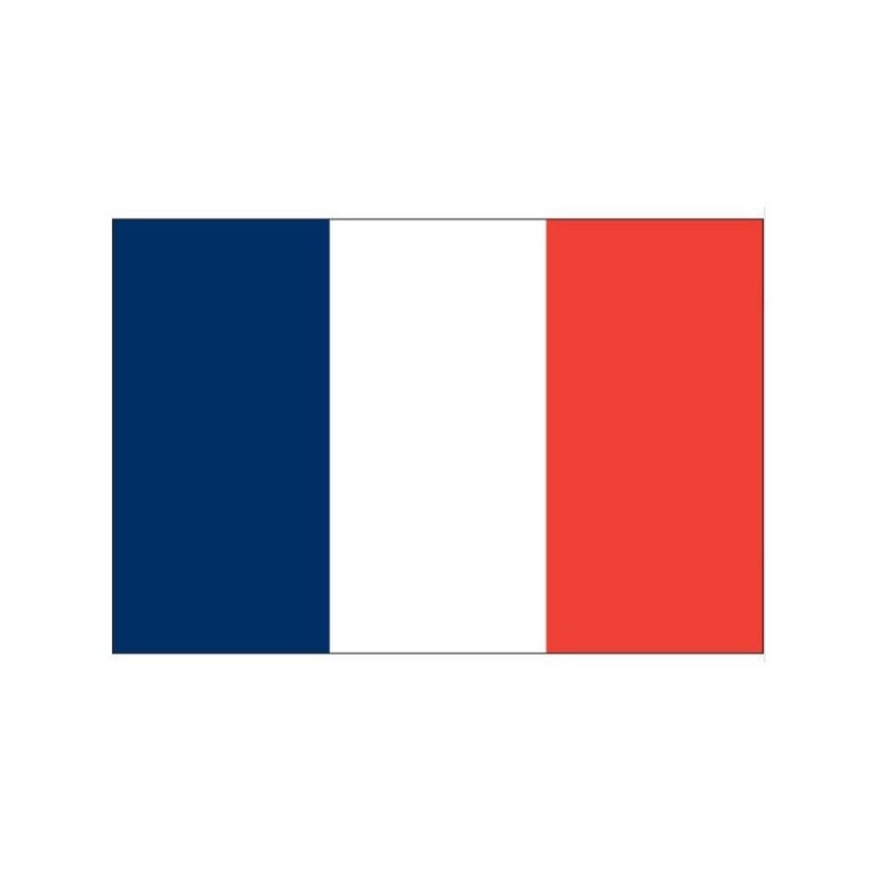 Profesora de Francés