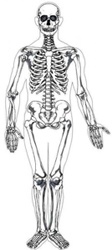 Cirugía de Columna Vertebral