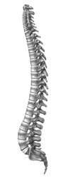 Cirugía de Columna Vertebral