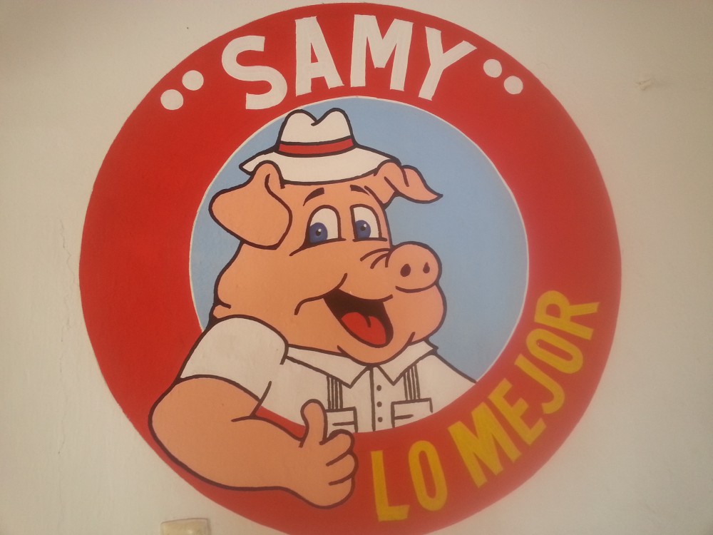 Carnitas y Antojitos SAMY