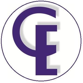 Capacitación de Excelencia