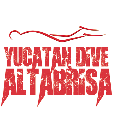 Yucatán Dive Center Altabrisa