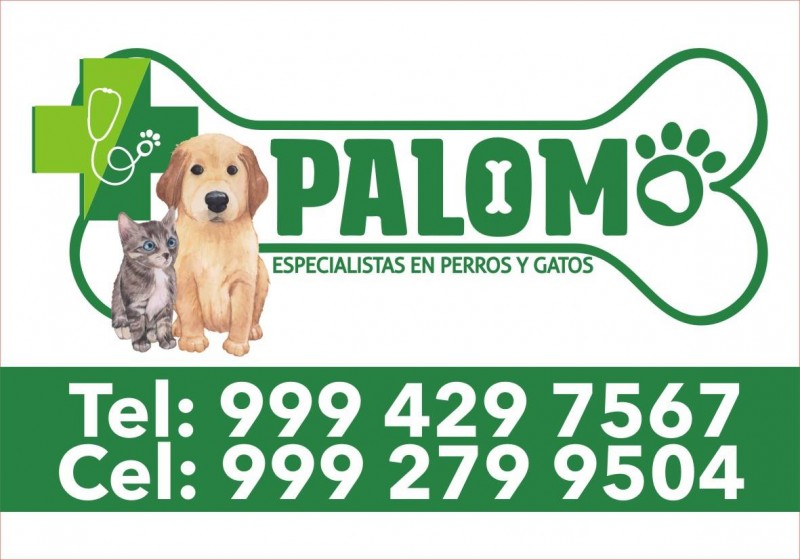 Clínica Veterinaria Palomo
