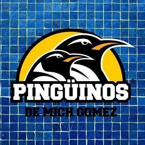 Escuela de Natación Pingüinos
