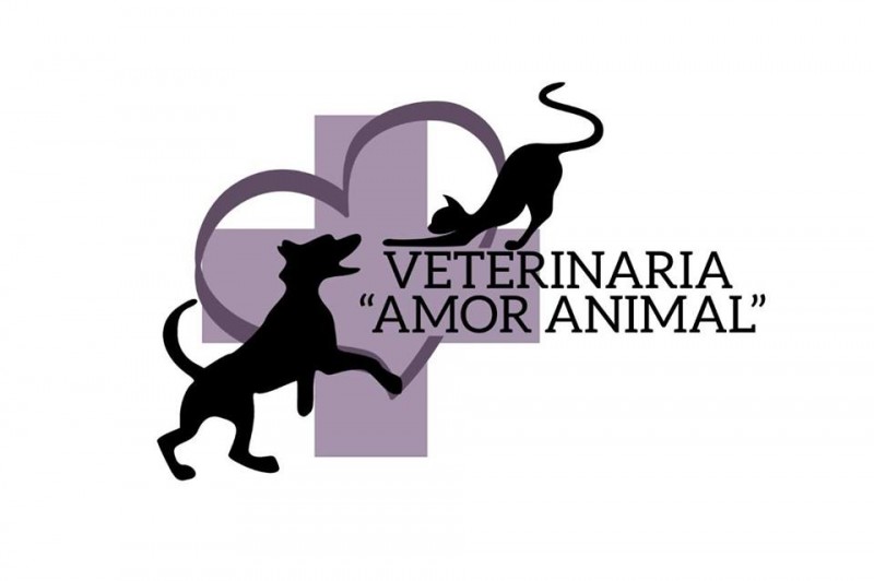 Veterinaria Amor Animal