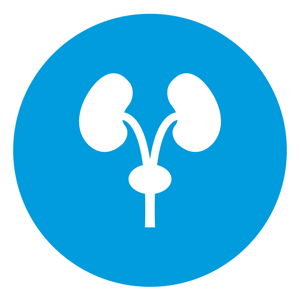 Dr. Jorge Navarrete Fernandez