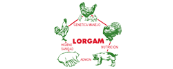LORGAM S.A. DE C.V.